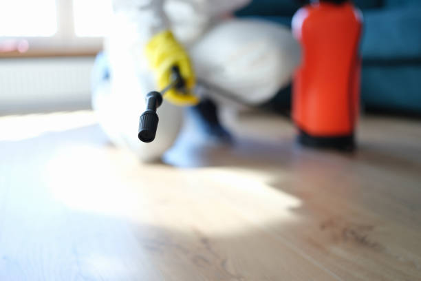 Best Environmental Consulting for Mold Prevention  in Roland, IA