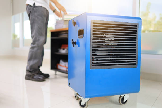 Best Emergency Mold Remediation  in Roland, IA