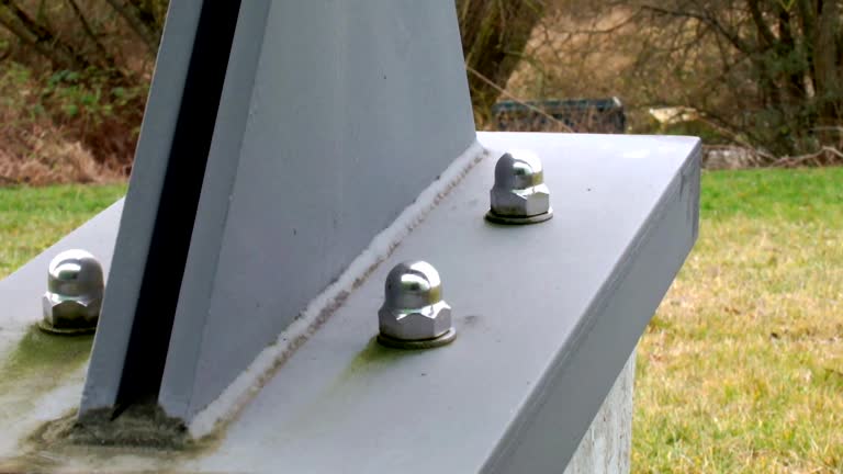 Reliable Roland, IA Mold Removal Solutions