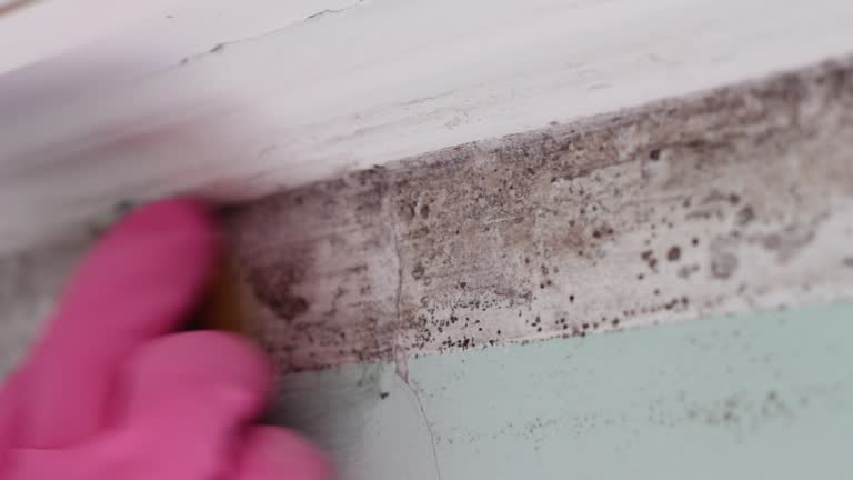 Best Biohazard Mold Removal  in Roland, IA